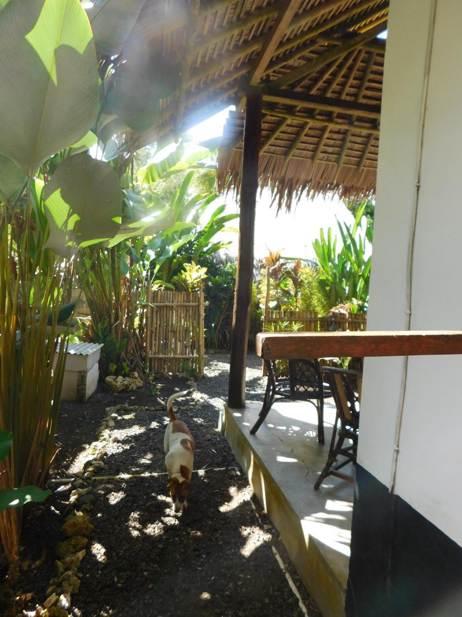 Rnv Eco Resort Bungalows Batukaras Exterior foto
